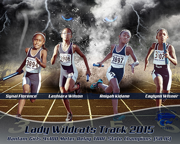 2015LadyWildcatsPoster1.jpg